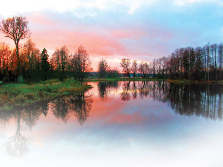 energia, medytacje, miejsca mocy, Białowieża