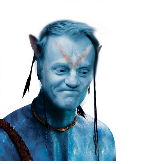 Donald Tusk, polityka, premier, awatar, Nelli Rokita