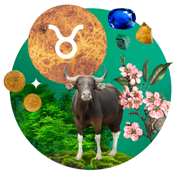 Horoskop dzienny - Byk